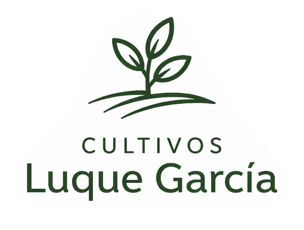logo de website